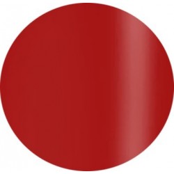 Gel Polisch 15 ml art.509