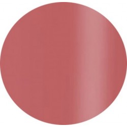 Gel Polisch  15 ml art.503