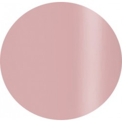 Gel Polisch 15 ml art.506