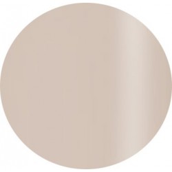 Gel Polisch 15 ml art.505