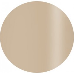 Gel Polisch 15 ml art.501