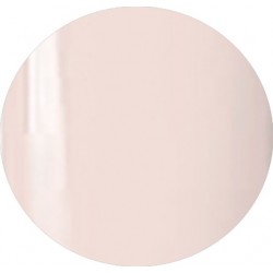 Gel Polisch 15 ml art. 702