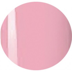 Gel Polisch 15 ml art. 707