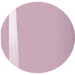 Gel Polisch 15 ml art. 711