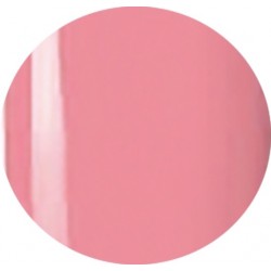 Gel Polisch 15 ml art. 712