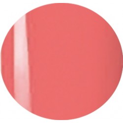 Gel Polisch 15 ml art. 717